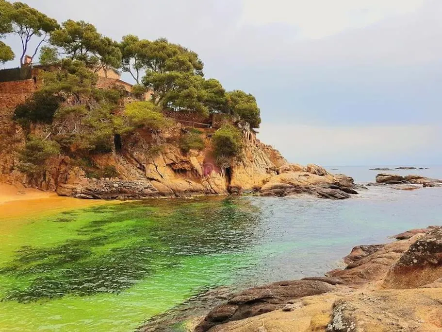 Apartamento Platja D 'Aro, 5 Camas 2 Dormitorios Platja d'Aro 0*,  Spanien